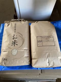 かまちょ様Ｒ7年産ゆめぴりか20kg 今月精米のサムネイル