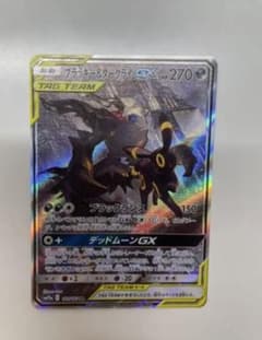 ダークライ&ブラッキーgx saのサムネイル