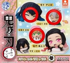 鬼滅の刃 おねむたんのサムネイル