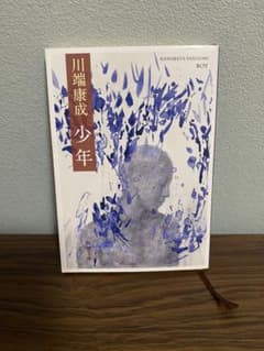 少年　川端康成のサムネイル