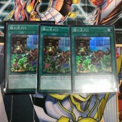 遊戯王隣の芝刈りのサムネイル