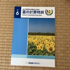 女子学院中合格のための夏の計算特訓 小6 早稲アカ　 NN女子学院クラスのサムネイル
