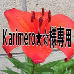 Ｋarimero☆★☆様専用のサムネイル