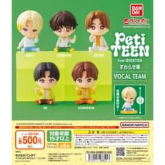 c*r님 SEVENTEEN Petiteen 피규어 13체 세트