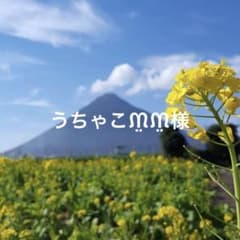 うちゃこ⋆ᙏ̤̫͚*様のサムネイル