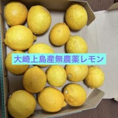 大崎上島産無農薬レモン⑤のサムネイル