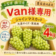 Van様専用 山梨県産 シャインマスカット 約4kg 大房 家庭用のサムネイル