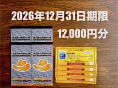 【匿名配送】イエローハット 株主優待4冊+ウォッシャー液引換券4枚のサムネイル