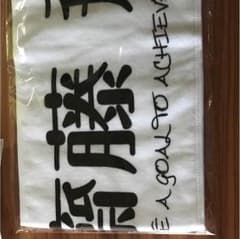 Ryo_suke様 専用   乃木坂46 東京ドーム 齋藤飛鳥 推しタオルのサムネイル