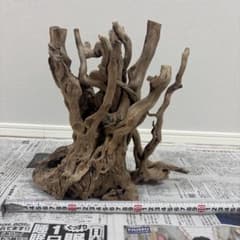 ADA ブランチウッド 流木 アクアリウム レイアウト素材 32×18×30のサムネイル