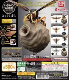 いきもの大図鑑　とっくりばち　ツマグロスズメバチのサムネイル