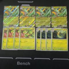 ポケモンカード ジャローダex ツタージャ ジャノビー 計12枚セット