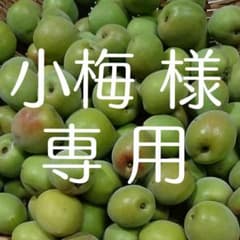 小梅 様 専用 青梅 24kgのサムネイル