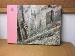 防弾少年団 YOU NEVER WALK ALONEのサムネイル