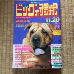 ビッグコミック  オリジナル  昭和♥のサムネイル
