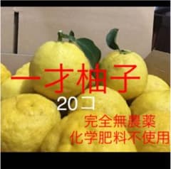 新鮮！採れたて！　柚子のサムネイル