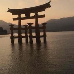 たなぼ様専用のサムネイル