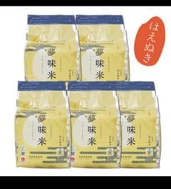 米10kg 山形県産 はえぬき 夢味米2kg５袋入 冬眠密着包装（令和６年産） imgrc0136568096.jpg?fitin=272:272