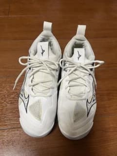 Mizuno バレーボールシューズ ホワイト/25cm