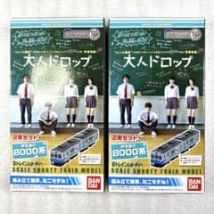 未開封未組立】Bトレイン Bトレ 伊豆急行 8000系 2両×2箱セット - メルカリ
