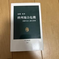欧州複合危機のサムネイル
