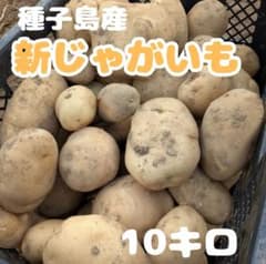 種子島産　新じゃがいも　訳あり10キロのサムネイル