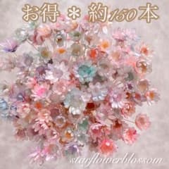 スターフラワーブロッサム ドライフラワー 花材 約150本のサムネイル
