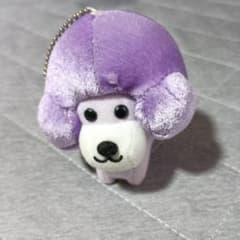 アフロ犬 マスコットのサムネイル