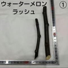 ①◇イチジク穂木2本◇ウォーターメロンラッシュ①【親木の写真あり