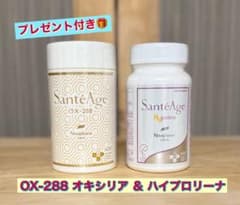 ニナファーム サンテアージュ OX-288 ハイプロリーナ 2点セット