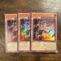 遊戯王　教導の死徒　100枚　① 遊戯王 教導の死徒 チャプレーンドラグマ - メルカリ