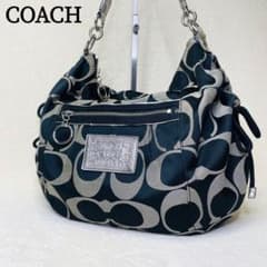 coach poppy bag vintage y2k Black