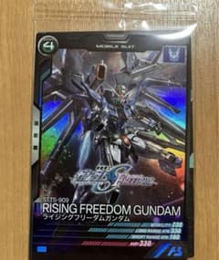映画　ガンダムSEED FREEDOM  特典　ライジングフリーダムガンダムのサムネイル