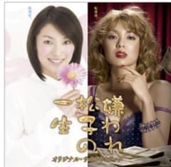 訳ありレンタル落ち❗処分価格❗　嫌われ松子の一生内山理名主演ドラマ版全６枚のサムネイル