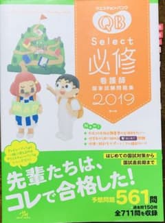 QB 必修 看護師国家試験問題集 2019のサムネイル