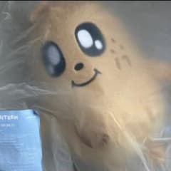 SEVENTEEN MINITEEN KIMJA ミンギュ PLUSH TOY - メルカリ