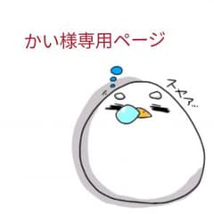 かい様専用ページのサムネイル