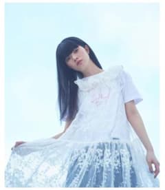 【新品タグ付き】ビュルデサボン tulle 刺繍 tunic ブラウス ホワイトのサムネイル
