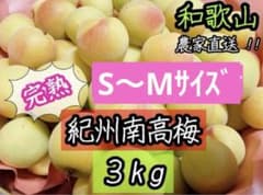 和歌山 紀州南高梅 完熟 S～Mサイズ3kgのサムネイル