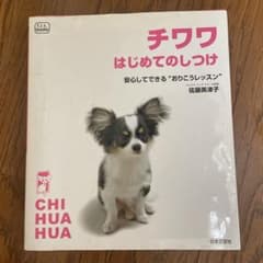 チワワ はじめてのしつけ 佐藤美津子のサムネイル