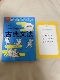八澤のたった6時間で古典文法のサムネイル