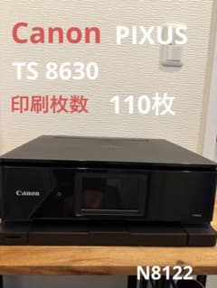 Canon PIXUS TS8630, print yield: 110 pages, N8122