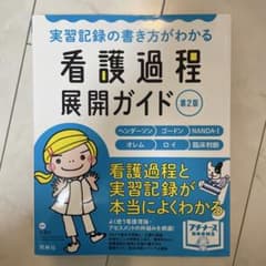 実習記録の書き方がわかる看護過程展開ガイド : ヘンダーソン ゴードン NAN…のサムネイル