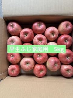 青森県産　早生ふじ　家庭用5kgのサムネイル