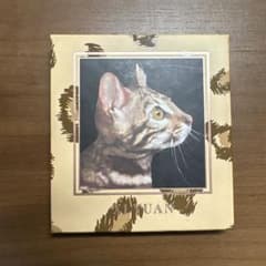 VENUS MARBLE キャットシリーズ アイシャドウ ベンガルキャットのサムネイル