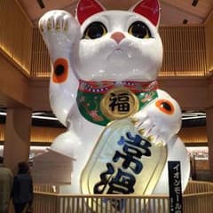 マドカ  ダイゴ様専用ニューバランス  ハイカットスニーカーのサムネイル