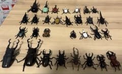 カブトムシ・クワガタフィギュアのサムネイル