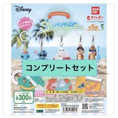 ディズニーめじるしアクセサリー Summer コンプリートのサムネイル