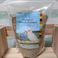セキセイインコのサムネイル