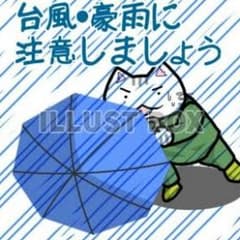 【Ken様専用】Kozumoエメラルドポリスのサムネイル